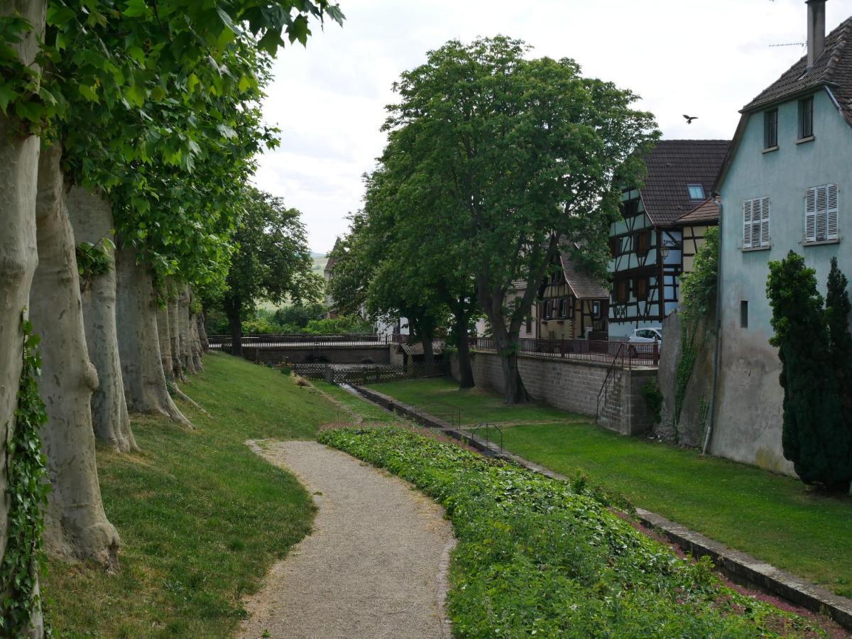 La Cour St-Fulrad - Appartements Saint-Hippolyte  Esterno foto